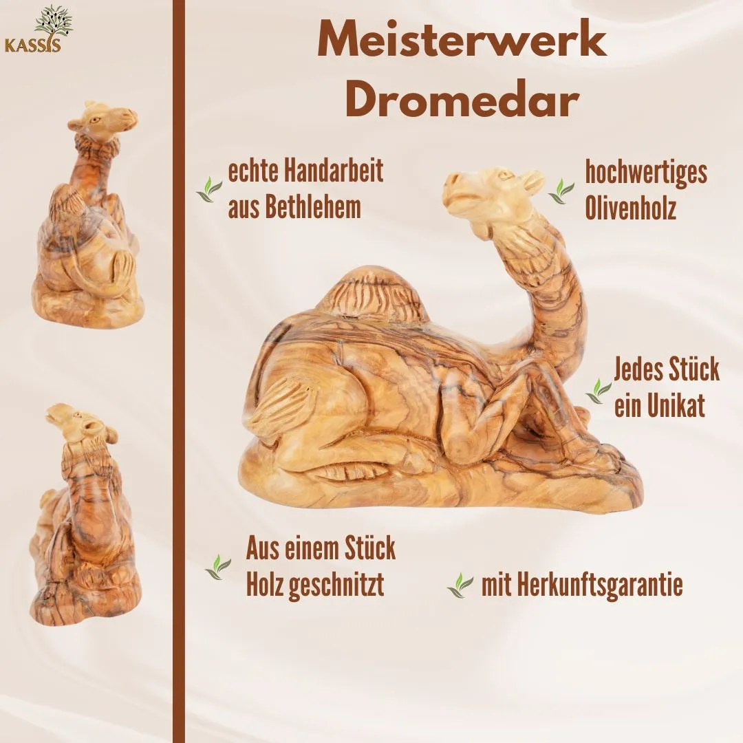 Kassis Dromedar Krippenfigur Olivenholz 11,5 cm Bethlehem