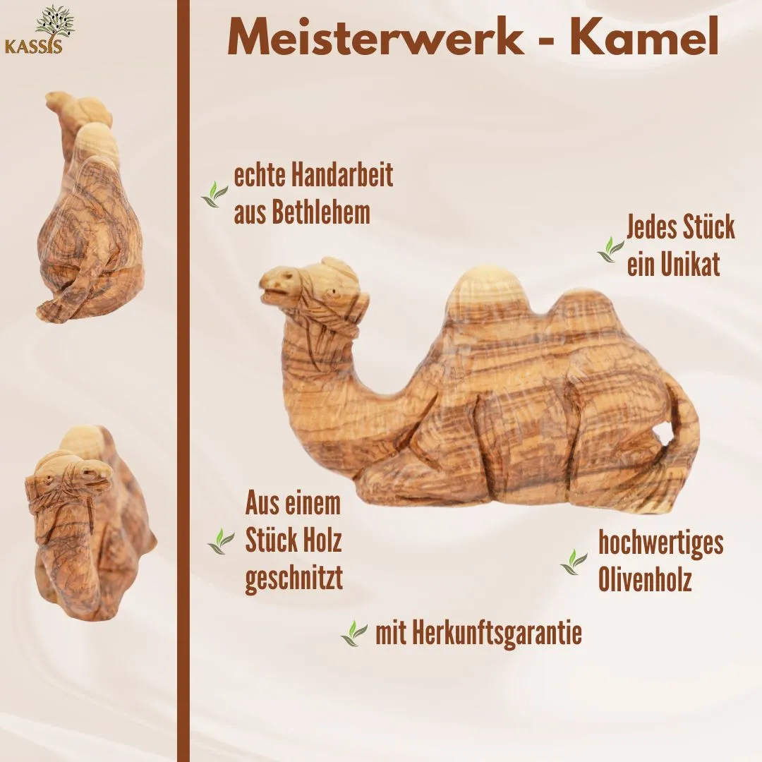 Kassis Geschenkartikel Kamel Krippenfigur 13 cm Olivenholz